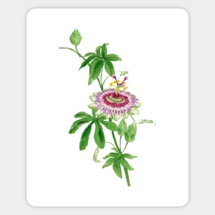 June 27th birthday flower Sticker